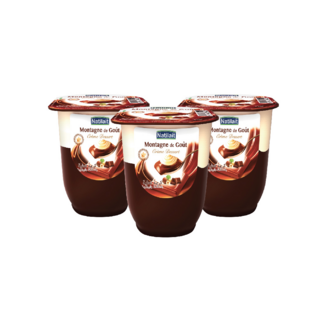 Lot de 3 crème desserts chocolat et noisettes